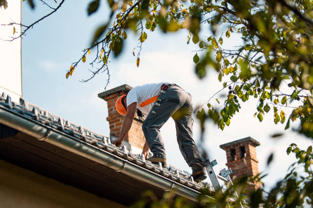 Best Roofing Contractor Near Me  in Delavan, IL