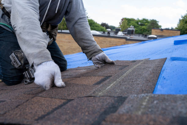 Best Metal Roofing Contractor  in Delavan, IL