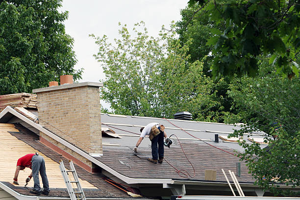Best Roof Leak Repair  in Delavan, IL