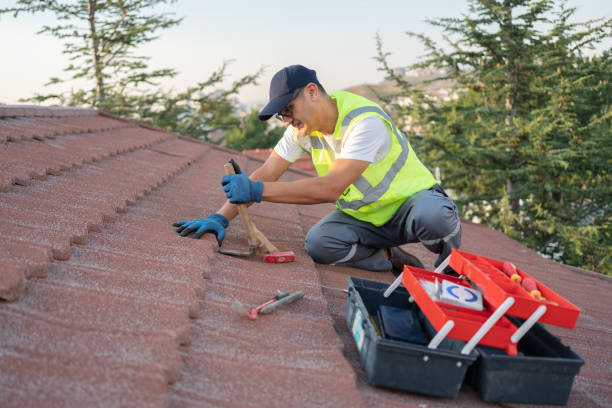 Best Commercial Roofing Services  in Delavan, IL