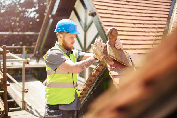 Best Roof Maintenance Services  in Delavan, IL
